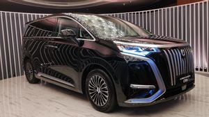 商标争端Denza,BYD:我们保护知识产权