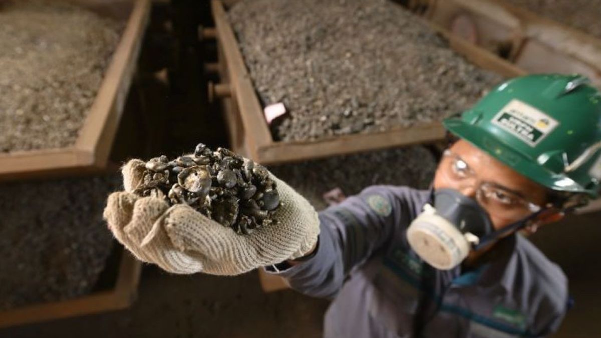 Often Protested About Royalty Tariff Increase, Ministry Of Energy And Mineral Resources Meets Nickel Entrepreneurs