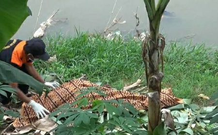 Wanita Lansia Korban Hanyut Ditemukan Tanpa Identitas di Kali Banjir Kanal Barat