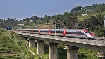 Claims Of Rights As Social Investments Are Wrong Statements