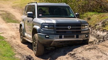 Expansion To Kangaroo Country, Denza Opens Orders For B5 And B8 SUVs