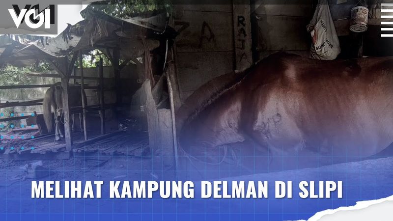 VIDEO: Melihat Kampung Delman di Slipi