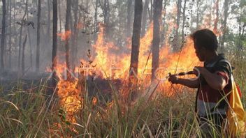 Hutan Jati di Kawasan RPH Cepukan KPH Ngawi Terbakar