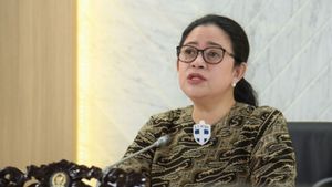 Puan Regarding Prabowo Cabinet PDIP Cadres: Whether There Is Or Not Just Wait