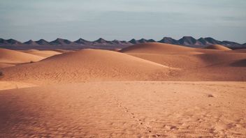 Fakta Gurun Sahara setelah Viral di TIkTok Ternyata Mengejutkan