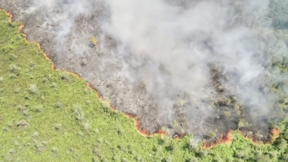 40 Hektare Lahan di Kotawarangin Terbakar, Pemda Butuh Bantuan Helikopter Pemadam