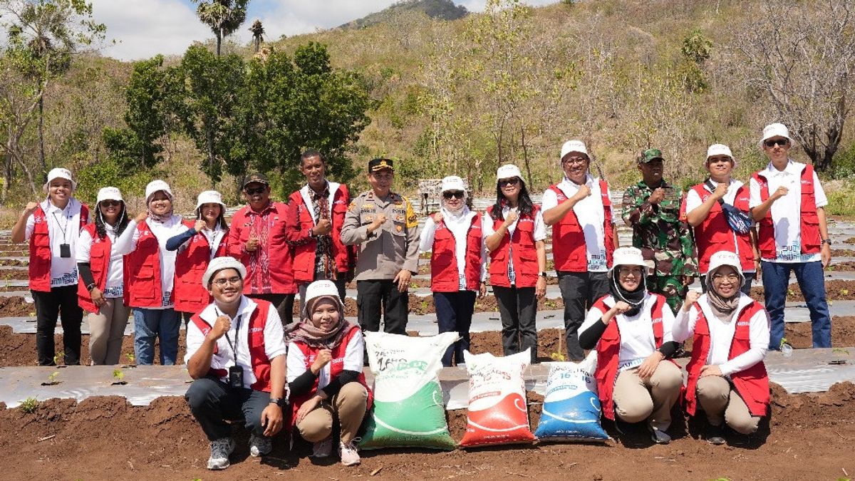 Pupuk Indonesia Inplements Tajumase Program, Fishermen In NTT Take Advantage Of The Yard For Food Independence