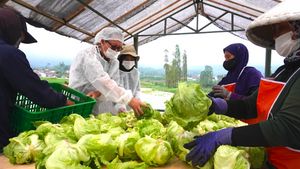 RÉALITATION: Promouvoir la sécurité alimentaire par la protection et le bien-être des agriculteurs