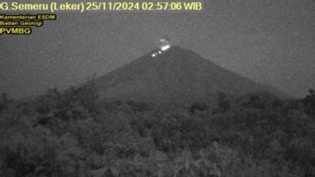 Le mont Semeru est entré en éruption jusqu'à 16 fois depuis lundi dernier