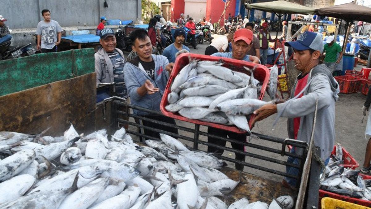 Fisheries and Marine Business Actors in Paser Regency Get Licensing Ease