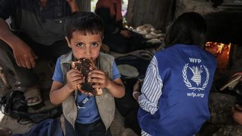 The World Food Program Calls Having Food Supply For 1.1 Million People In Gaza, But Needs Access