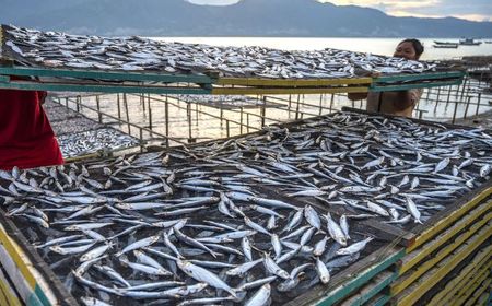 KKP Perketat Pengawasan Pendaratan Ikan di Pelabuhan Perikanan, Ini Tujuannya