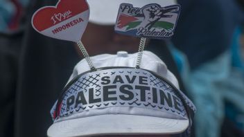 Mahkamah Internasional akan Keluarkan Opini Hukum terkait Pendudukan Israel di Palestina