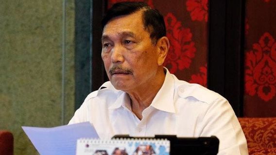 Potensi Gelombang COVID-19 Lain, Luhut: Tak Ada yang Paling Hebat, yang Hebat adalah Bekerja Sama dalam Tim