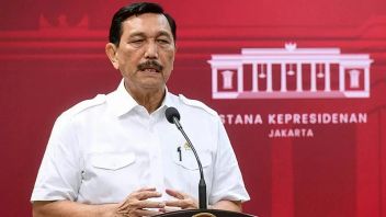 Pak Luhut, Pidanakan Haris dan Fatia Dinilai Pengamat Sebagai Upaya Menekan Oposisi Supaya Jangan Cerewet ke Pemerintah