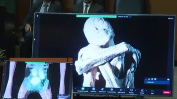 物議を醸すUFO研究者、ハイメ・モーサン、メキシコ議会にエイリアンの死体を持ち込む