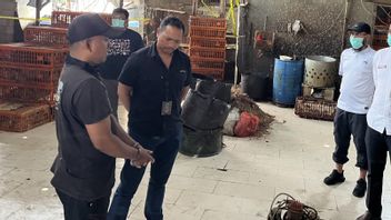 Gelonggoran Chicken Trader In Kebayoran Lama Raup Untung Besar Dari Berat Fake