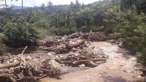 Tolong! Sungai Batang Sopan Talamau Dipenuhi Kayu Pasca Gempa Pasaman