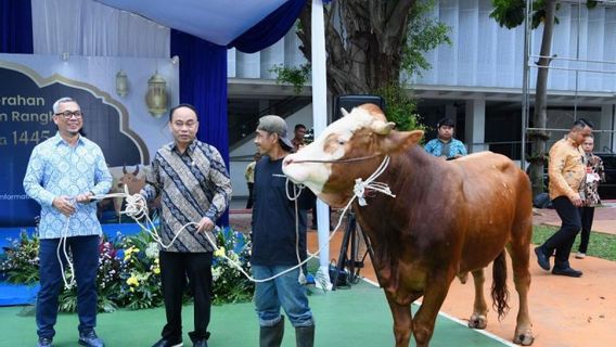 通信和信息部长:宰牲节是我们彼此分享幸福的时刻