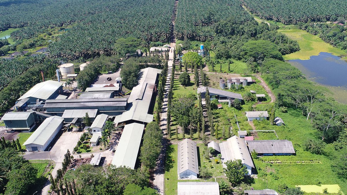 コングロマリットガリバルディ'少年'トヒールが所有するアダロアルミニウムは、インドネシアのグリーン工業団地に10.41兆ポンド相当の製錬所を建設します