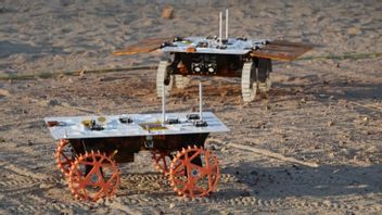美国宇航局在火星光环形交叉路口测试了CADRE火星探测器机器人