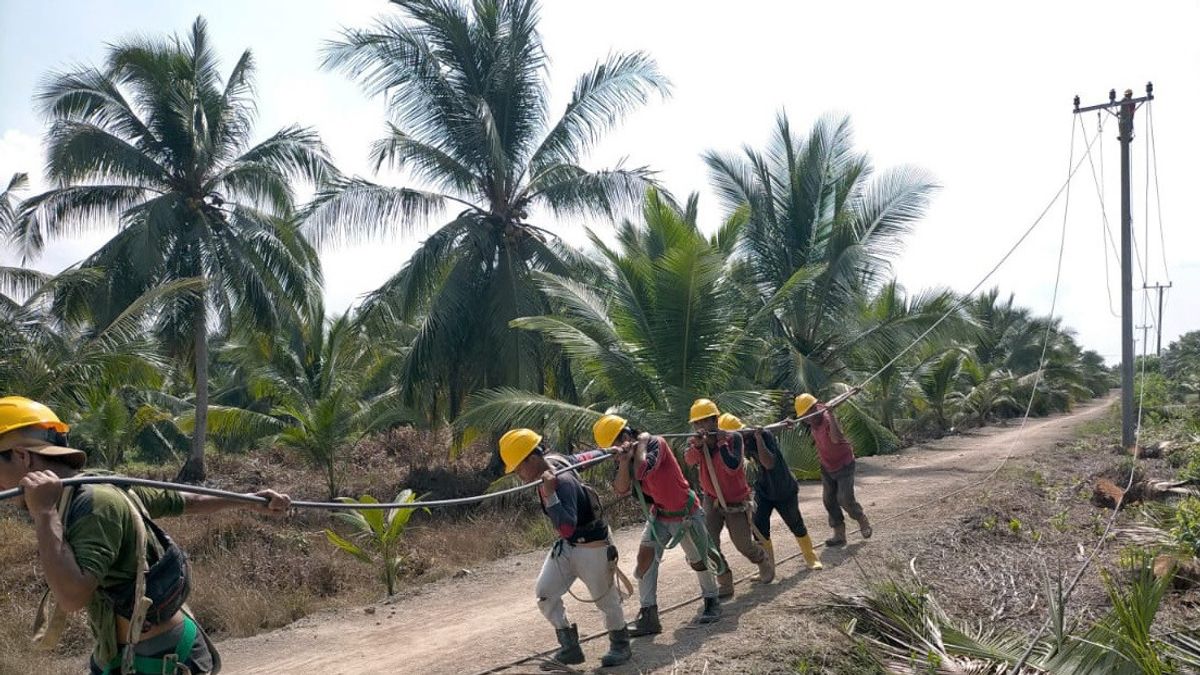 Through State Capital Participation To PLN, The Perajen Jaya Village Fisheries Industry In South Sumatra No More Use A Genset Of Rp600 Thousand Per Month