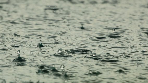 Prévisions Météo BMKG: Méfiez-vous Des Pluies Modérées à Fortes Avec Des Vents Forts