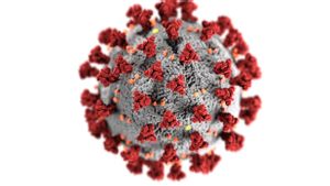 Melonjak Tajam, Kasus Influenza di Amerika Serikat Tertinggi dalam 25 Tahun Terakhir