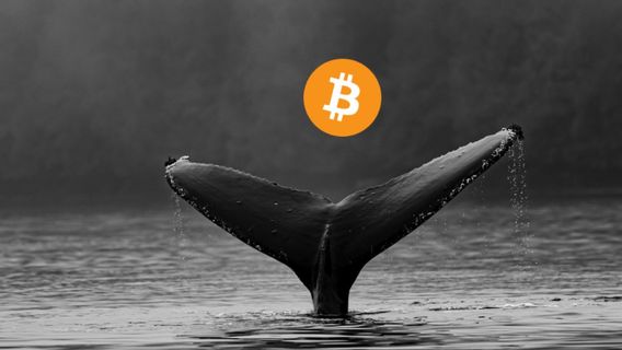 9年間眠った後、このビットコインクジラは再びアクティブに開始します