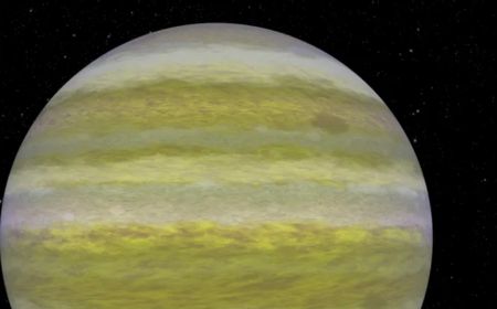 TOI-4600, Exoplanet Terdingin dengan Periode Orbit Terpanjang