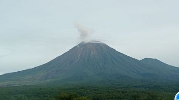 Gunung Semeru Hari Ini: Tercatat 14 Kali Gempa Letusan, Berstatus Siaga