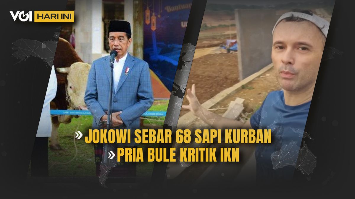 VIDEO VOI Hari Ini: Jokowi Sebar 68 Sapi Kurban, Pria Bule Kritik IKN