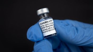 BPOM 允许辉瑞疫苗用于对抗 COVID-19，疼痛对发烧的副作用