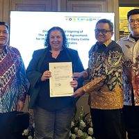 GKSI从美国进口100,000头奶牛,支持免费营养食品计划