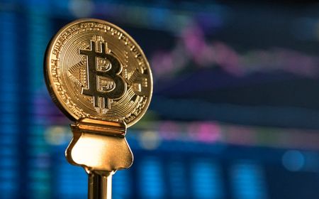 Pemegang Bitcoin Jangka Panjang Meningkat Signifikan Sejak Keruntuhan FTX