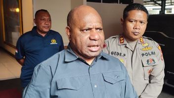 5 Orang Terindikasi KKB Ditangkap di Kenyam Nduga Papua Pegunungan