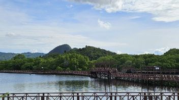 got Ekowisata, Protéger les forêts tout en soutenant l’économie du peuple Dongkrak