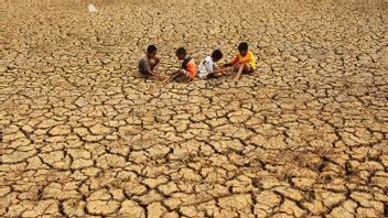 Three Regions In North Sulawesi Alert For Drought