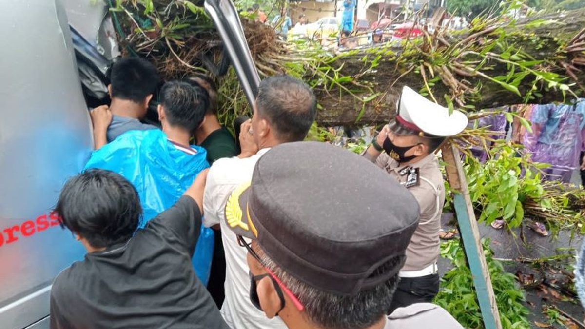 Car Hit By Tree In West Pasaman, One Person Dies