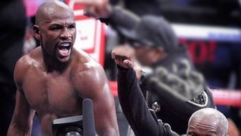 Floyd Mayweather Jr.'s Criticism: Boxing Is Very Loose Now, Everyone Easily Becomes A Champion