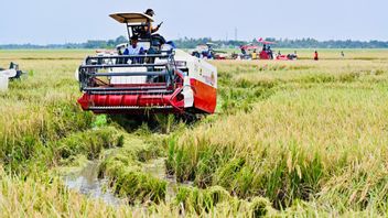 Panen Raya in Karawang, President Prabowo Announces National Food Self-sufficiency 2025
