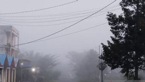 Mercredi matin, certaines zones de Mukomuko sont entourées de brume de fumée boueuse, BPBD recherche la source