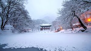 Wajib Tahu Sebelum Booking! Musim Dingin di Korea Bulan Apa?