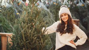 Ini 7 Tanaman Hias untuk Dekorasi Natal di Luar Ruangan