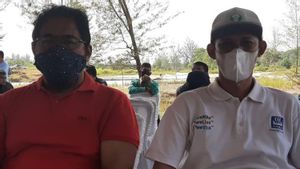 Perkebunan Kelapa Sawti di Bangka; Pemkab Targetkan Produksi Mencapai 45 Ribu Ton