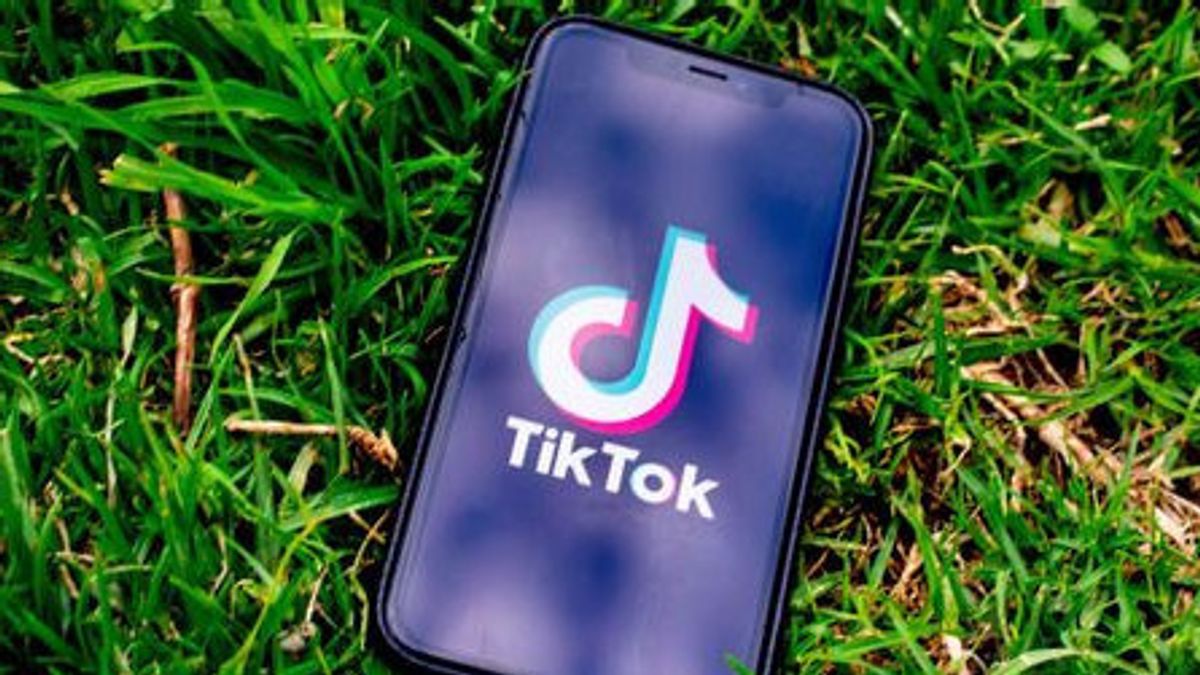 Pengadilan Federal Tolak Permintaan Penundaan Larangan Aplikasi TikTok di AS