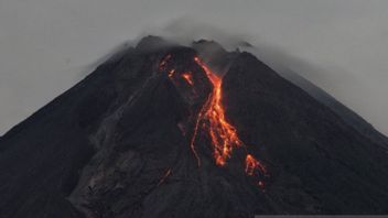Setelah Sebelumnya Muntah, Hari ini Gunung Merapi Luncurkan Lava ke Barat Daya dan Tenggara