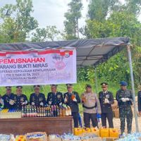 Gunung Botol 'Cap Tikus' Dimusnahkan di Taliabu, Polisi: Biar Situasi Tetap Kondusif