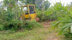 Khawatir Pelaku Perambahan Hutan Produksi Air Rami Mukomuko Kabur, KPH Minta KLHK dan Polisi Bertindak