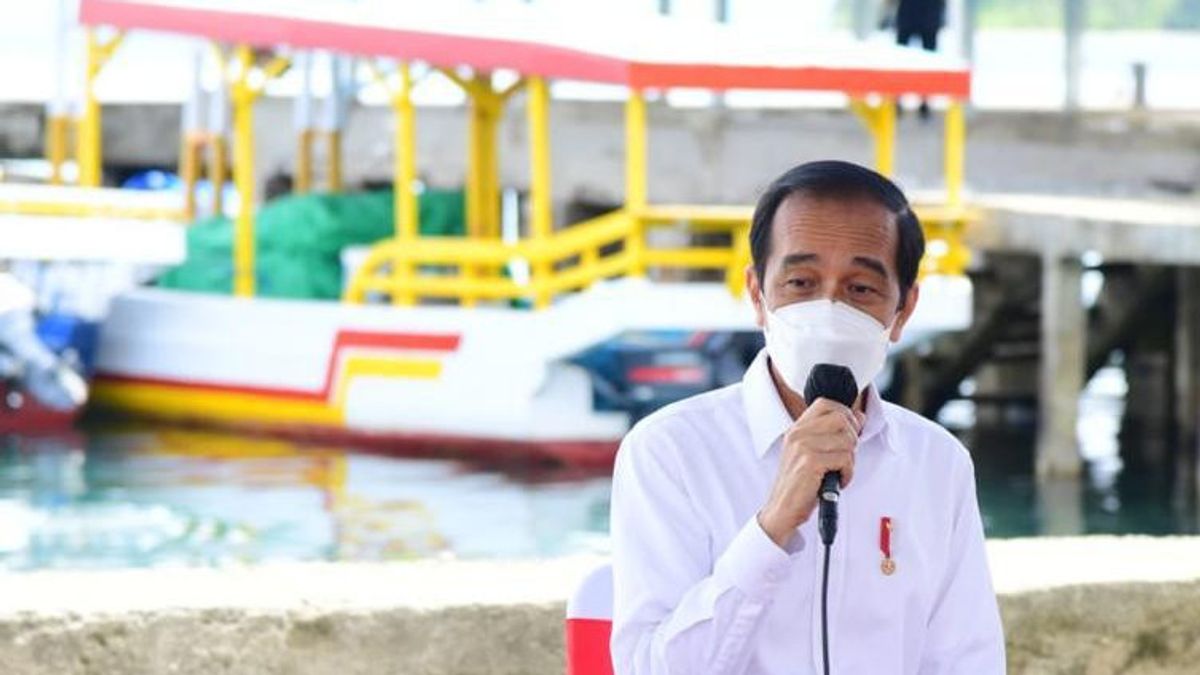 Ingatkan Bupati Soal COVID-19, Jokowi: Barang Ini Enggak Kelihatan, Jangan Lengah